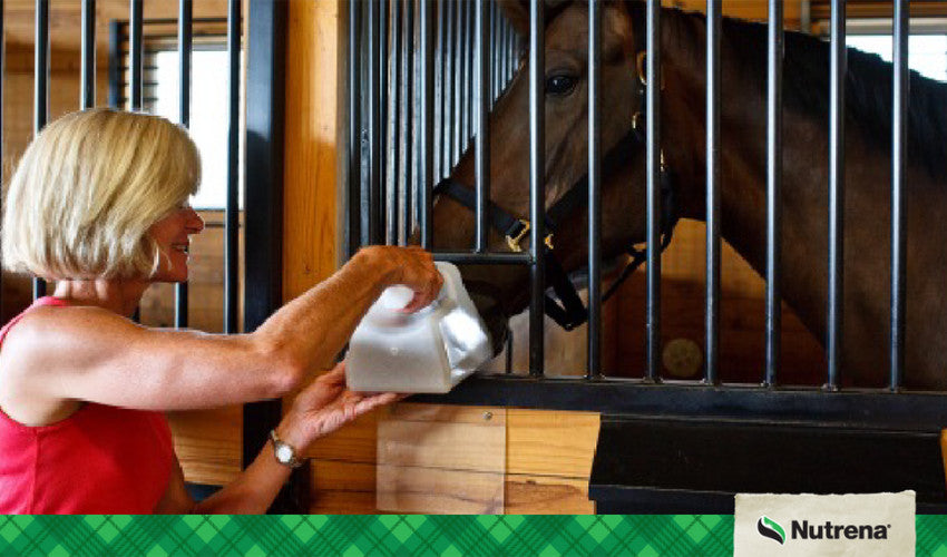 Feeding Horses that are Hard Keepers