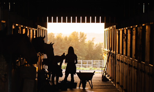 Silhouetted scene in a barn at sunset, with two people tending to a horse. A wheelbarrow and open barn doors frame a view of trees and fields.