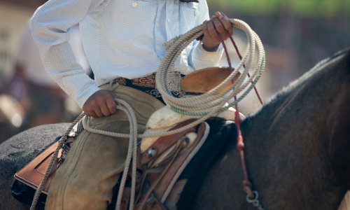 A rodeo rider on horseback, wearing a white shirt and tan pants, holds a coiled rope. The scene conveys tradition and readiness, emphasizing Western culture.