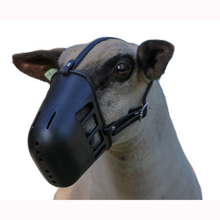 Sullivan Supply Heavy Plastic Sheep Muzzle